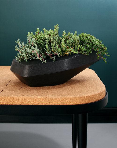 Steen Planter