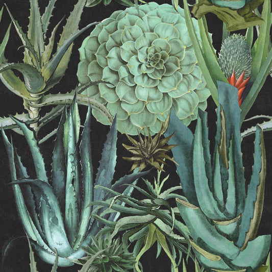 Succulentus Anthracite Wallpaper