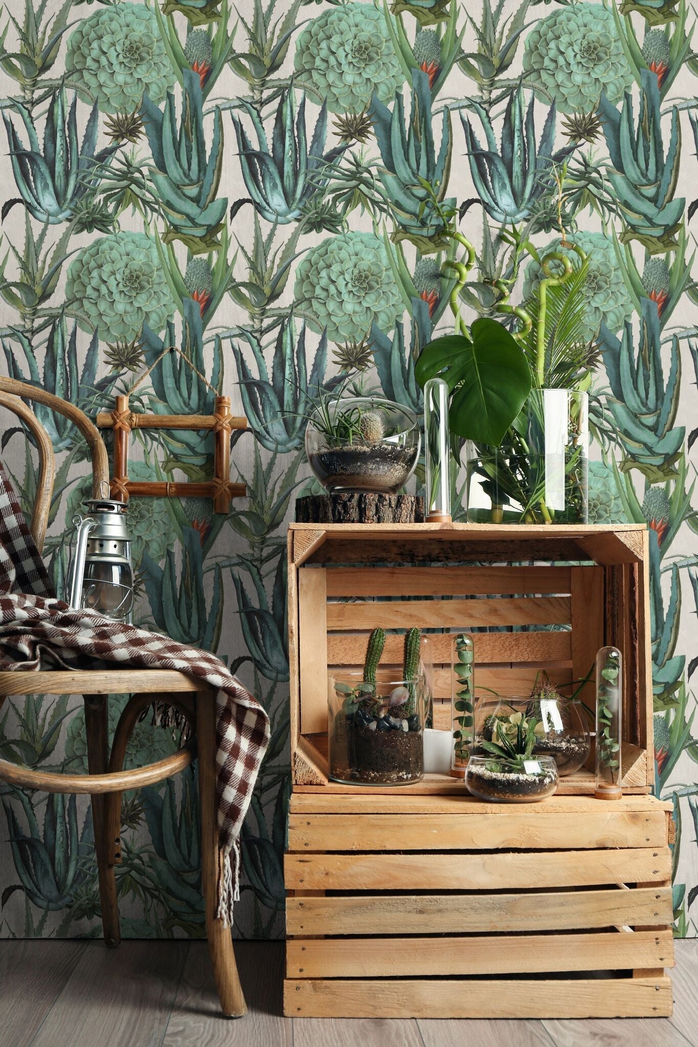 Succulentus Wallpaper-Mind The Gap-Contract Furniture Store