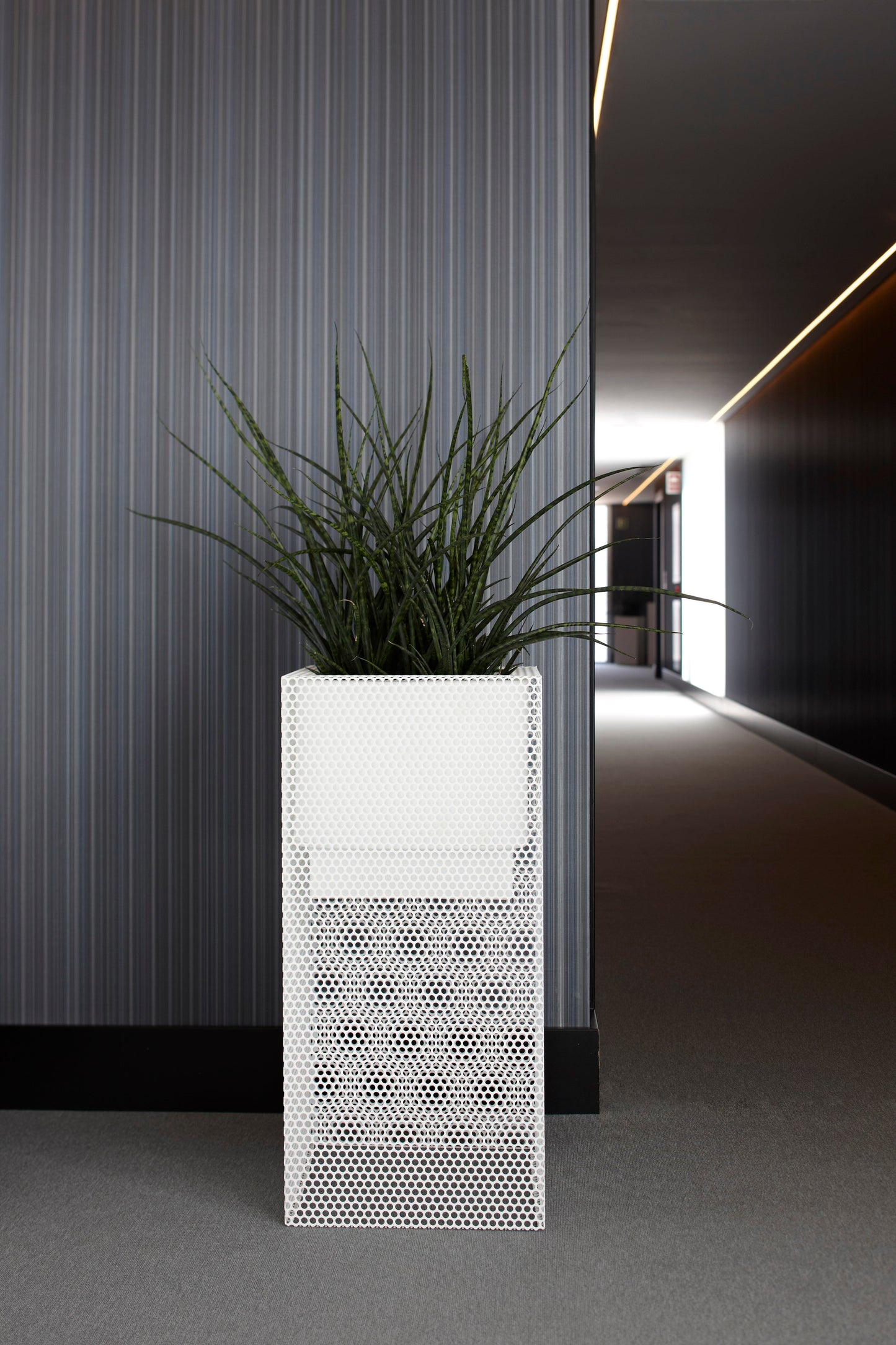 Top Hydroplanter