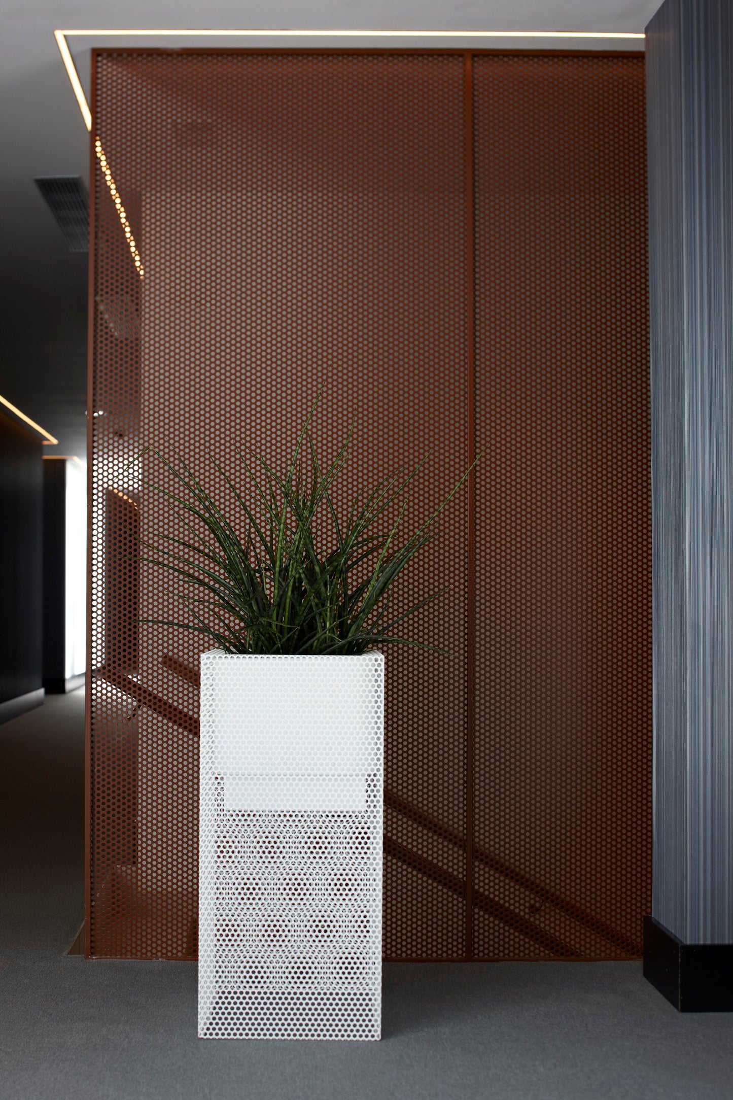 Top Hydroplanter