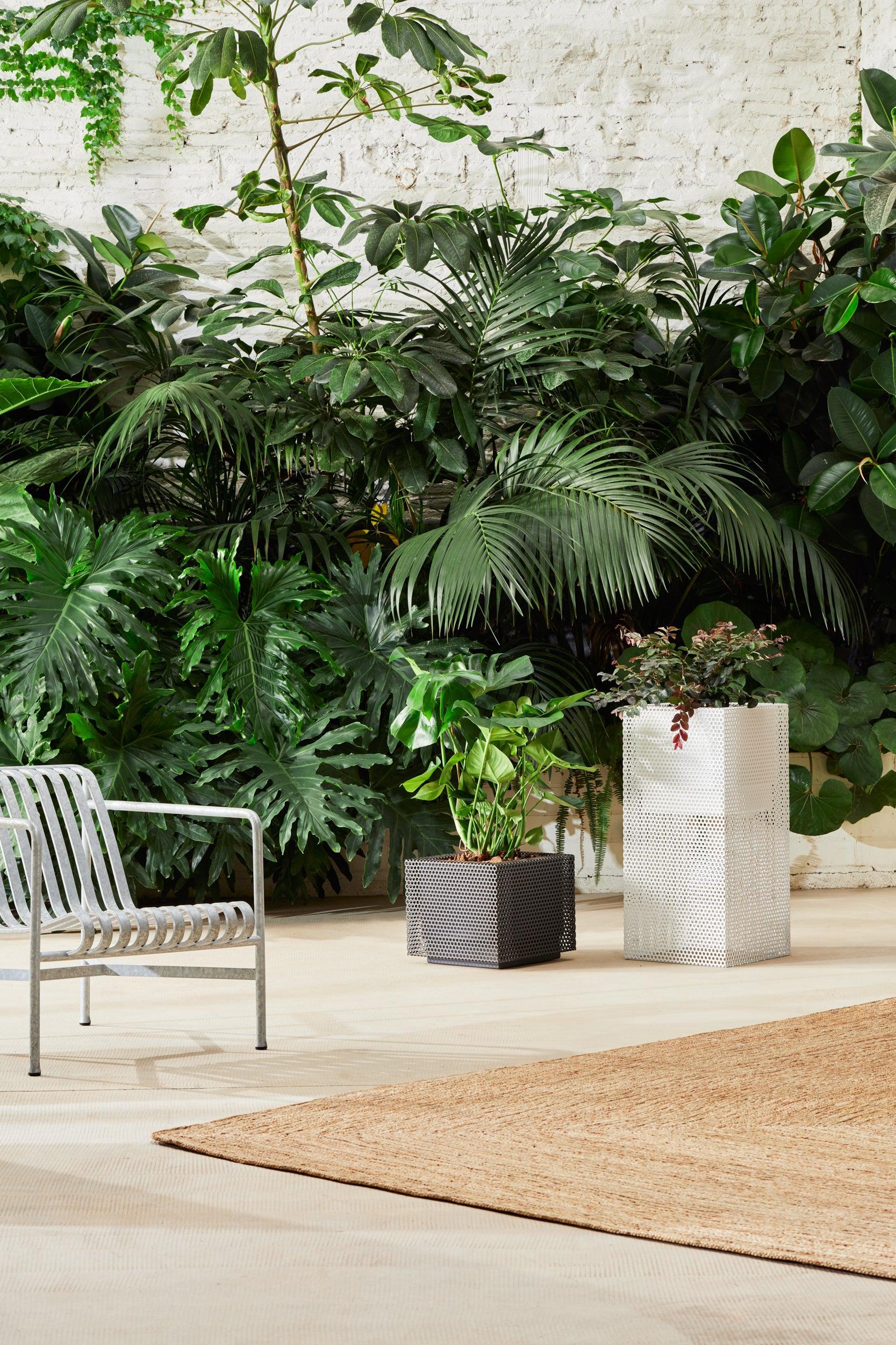 Top Hydroplanter