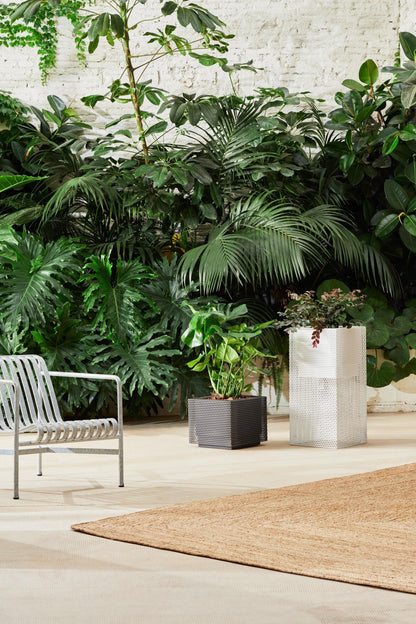 Top Hydroplanter