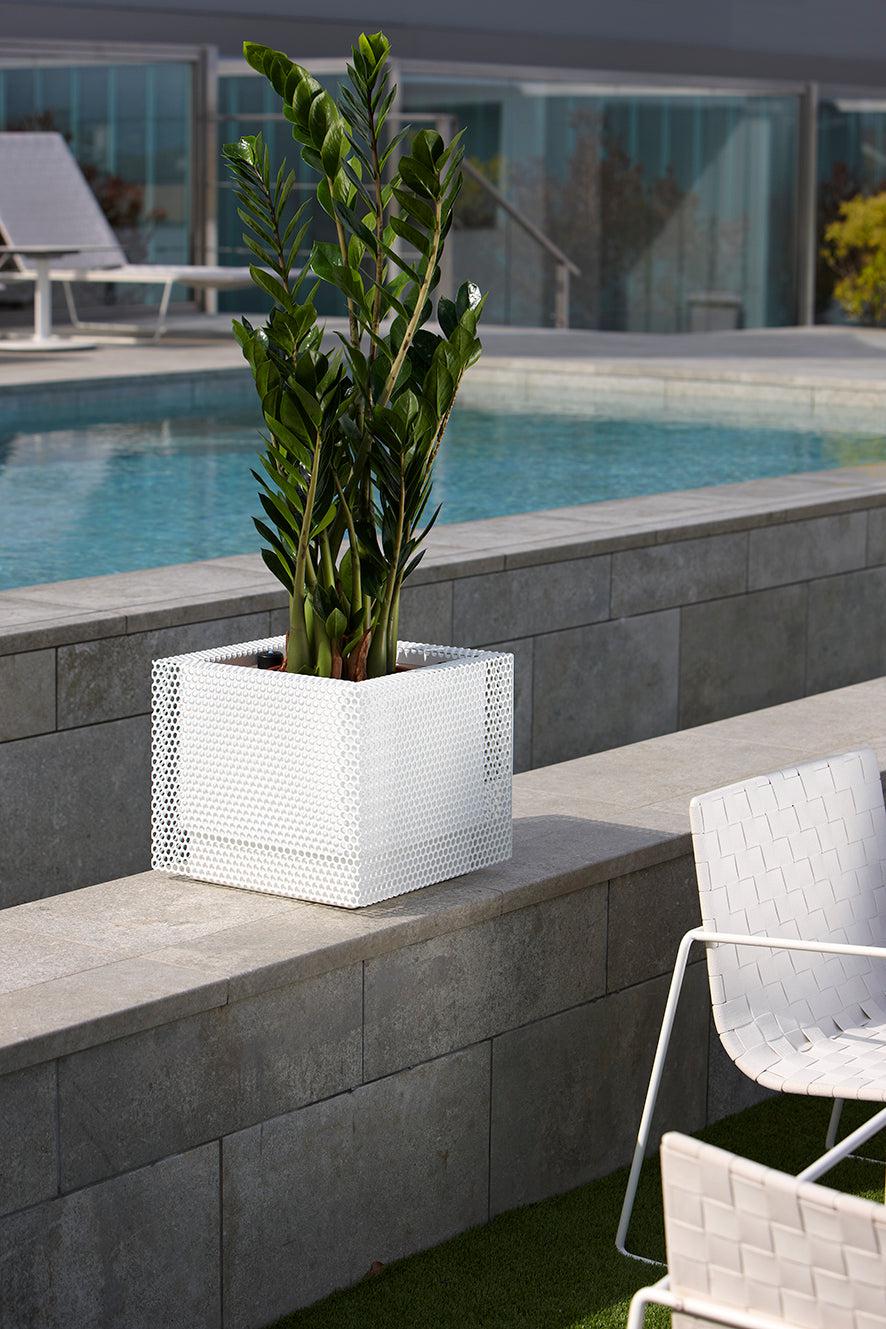 Top Hydroplanter