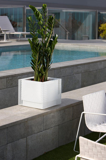 Top Hydroplanter