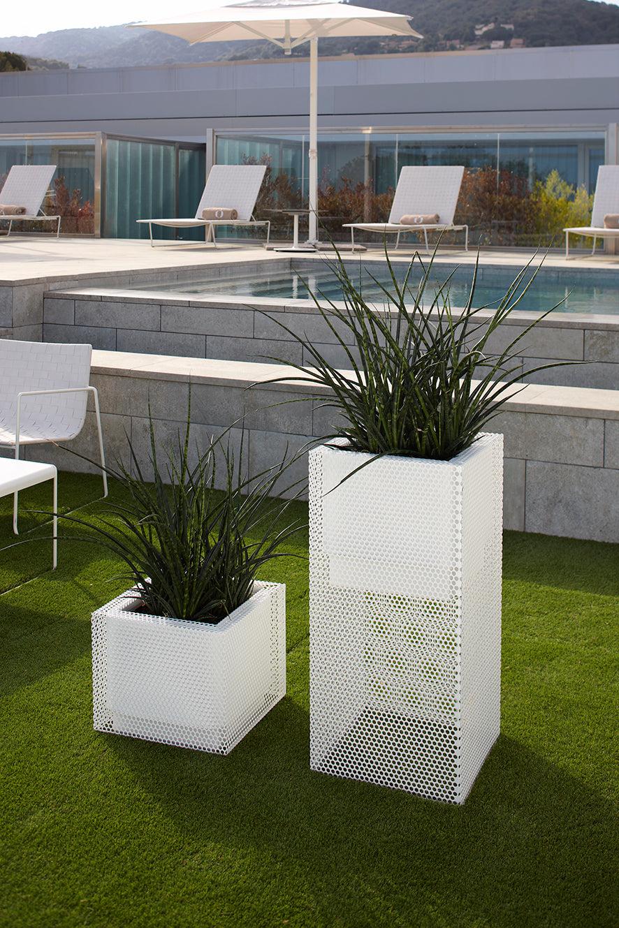 Top Hydroplanter