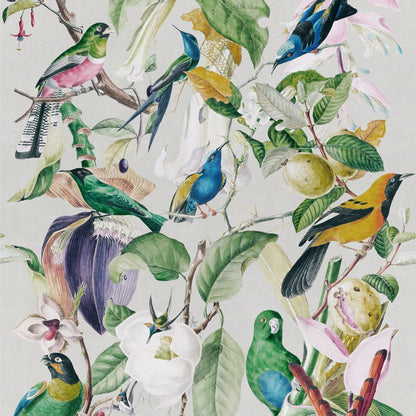 Tropical Birds Wallpaper-Contract Furniture Store for hospitality, leisure & commercial projects