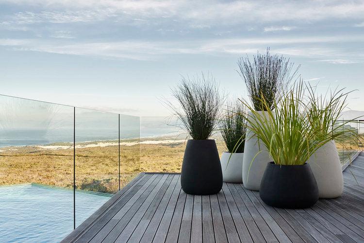Tuber Stone Planter