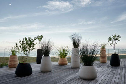 Tuber Stone Planter