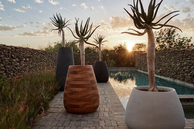 Tuber Stone Planter