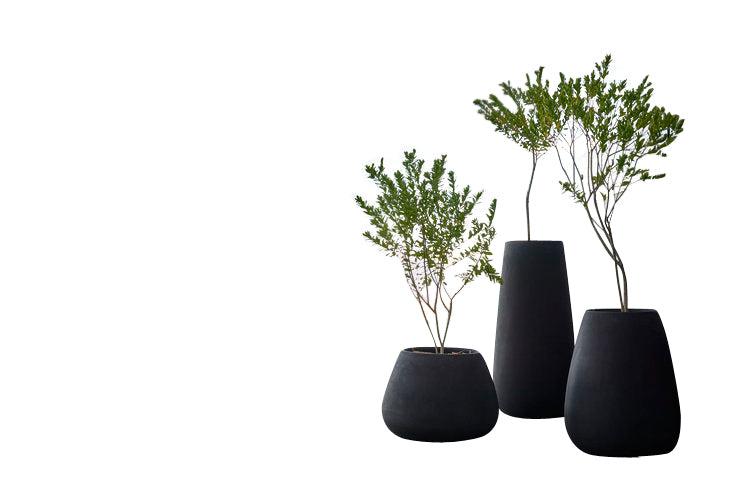 Tuber Stone Planter