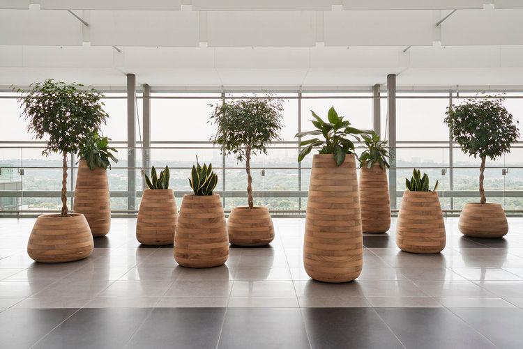Tuber Wood Planter-Contract Furniture Store for hospitality, leisure & commercial projects