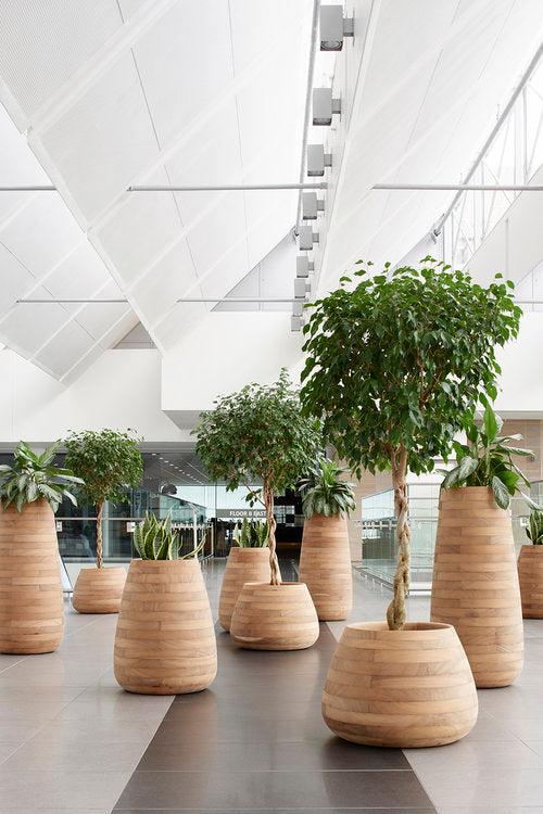 Tuber Wood Planter-Contract Furniture Store for hospitality, leisure & commercial projects