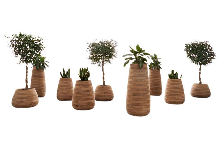 Tuber Wood Planter-Contract Furniture Store for hospitality, leisure & commercial projects