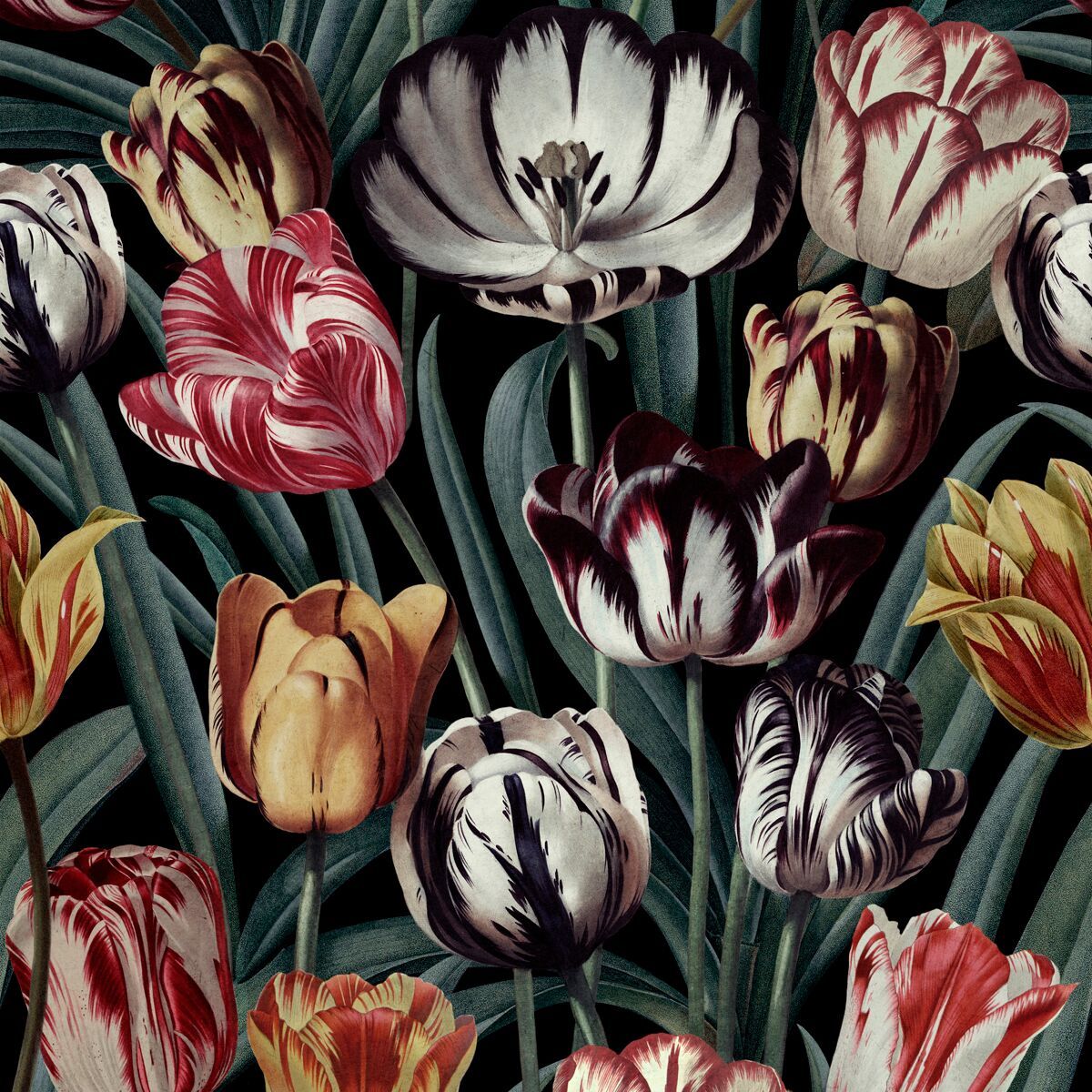 Tulipa Dark Wallpaper-Contract Furniture Store for hospitality, leisure & commercial projects