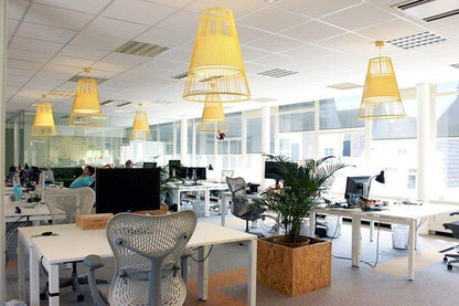 Up Suspension Lamp