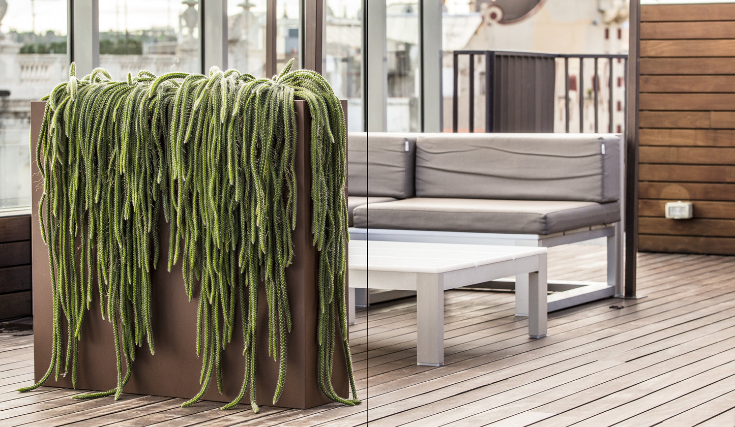 Urban Hydroplanter