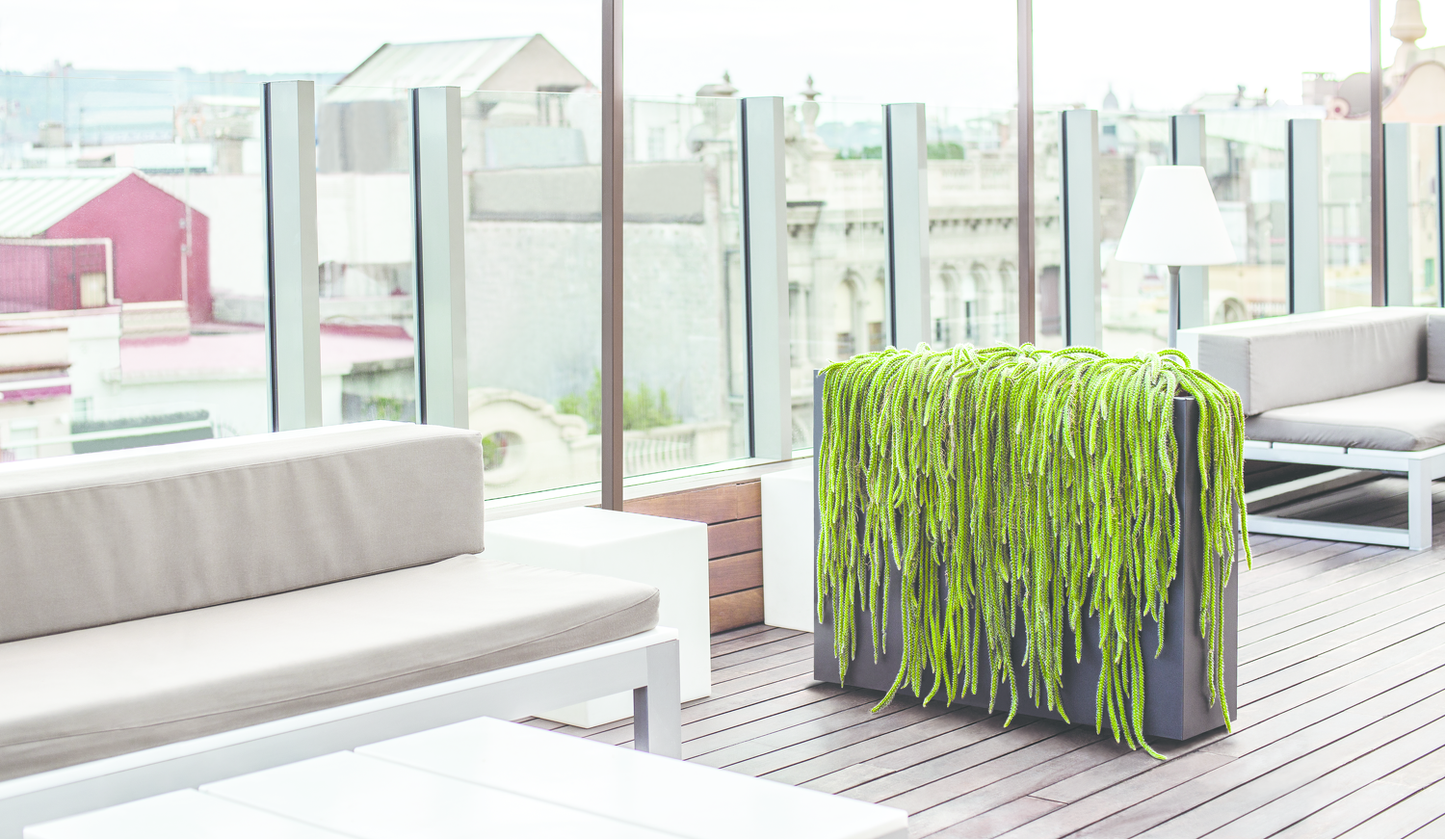 Urban Hydroplanter