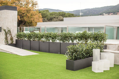 Urban Hydroplanter