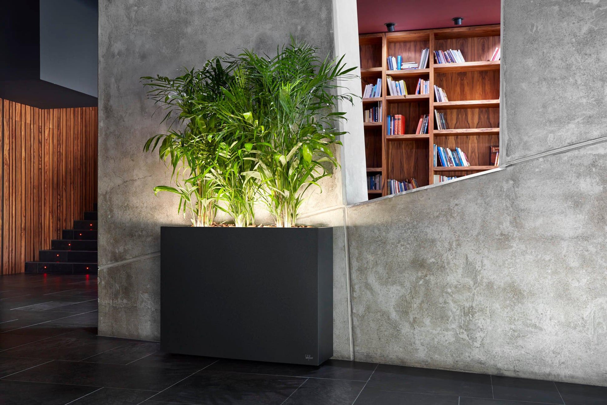 Urban Light Hydroplanter