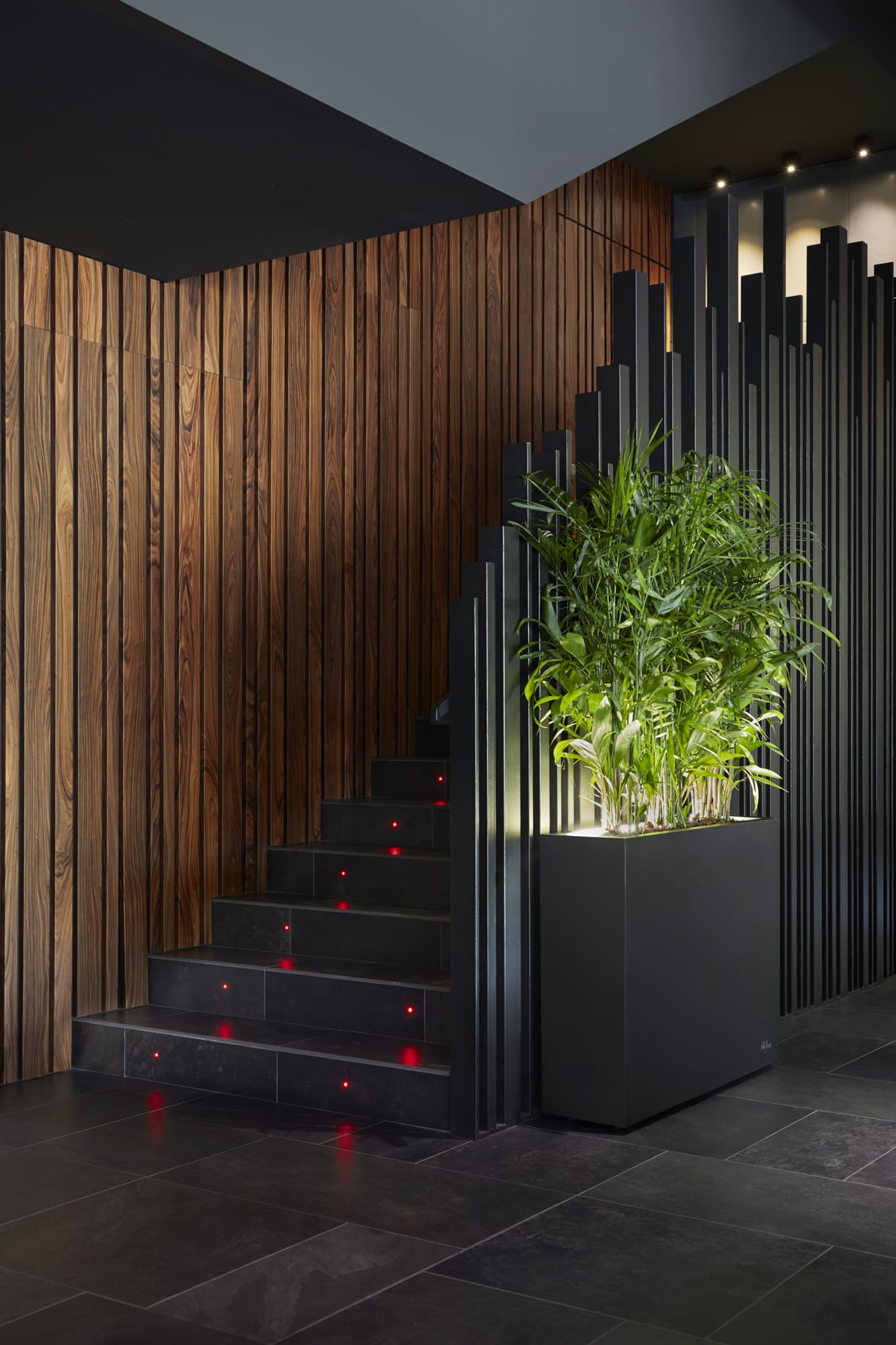 Urban Light Hydroplanter