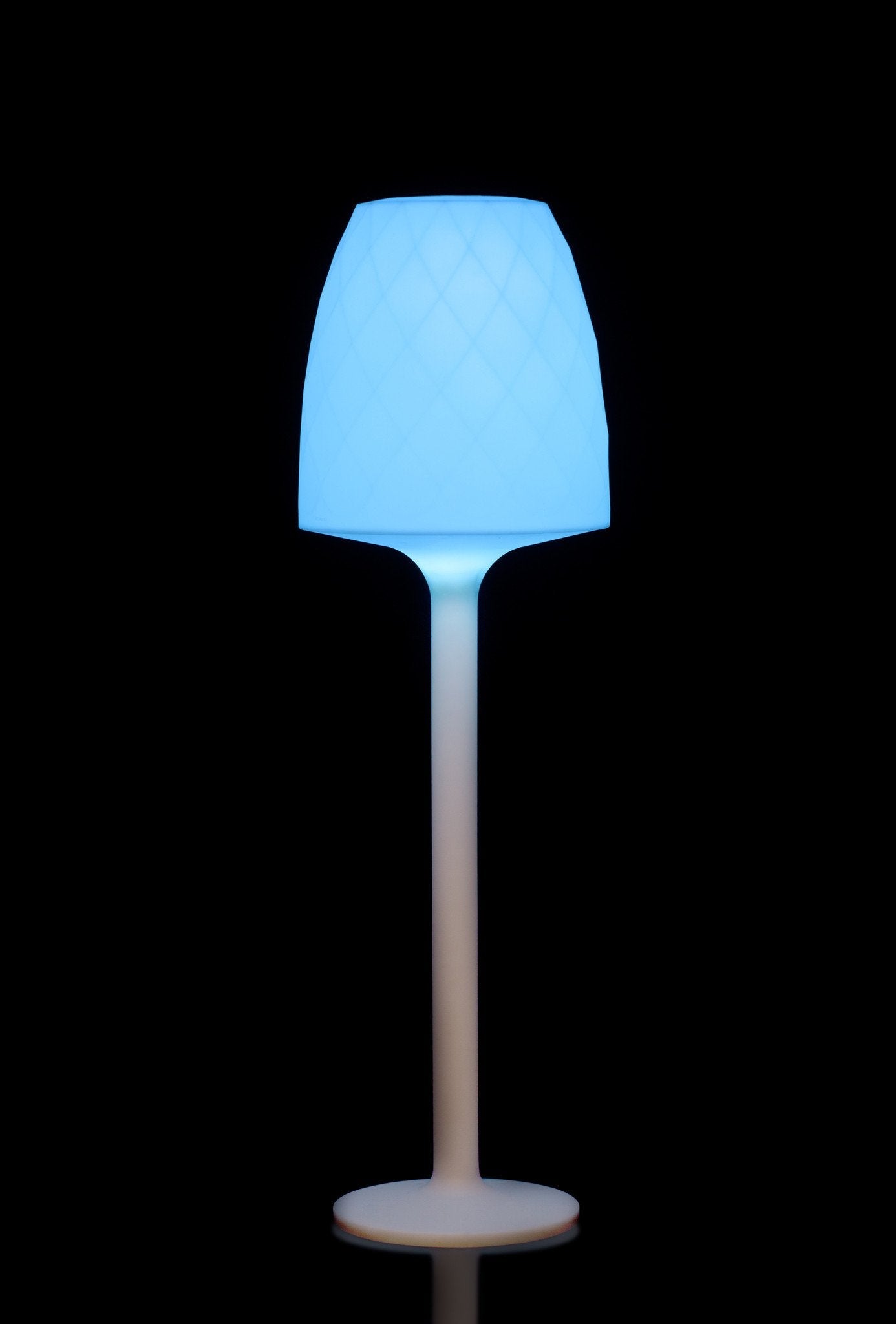 Vases Floor Lamp