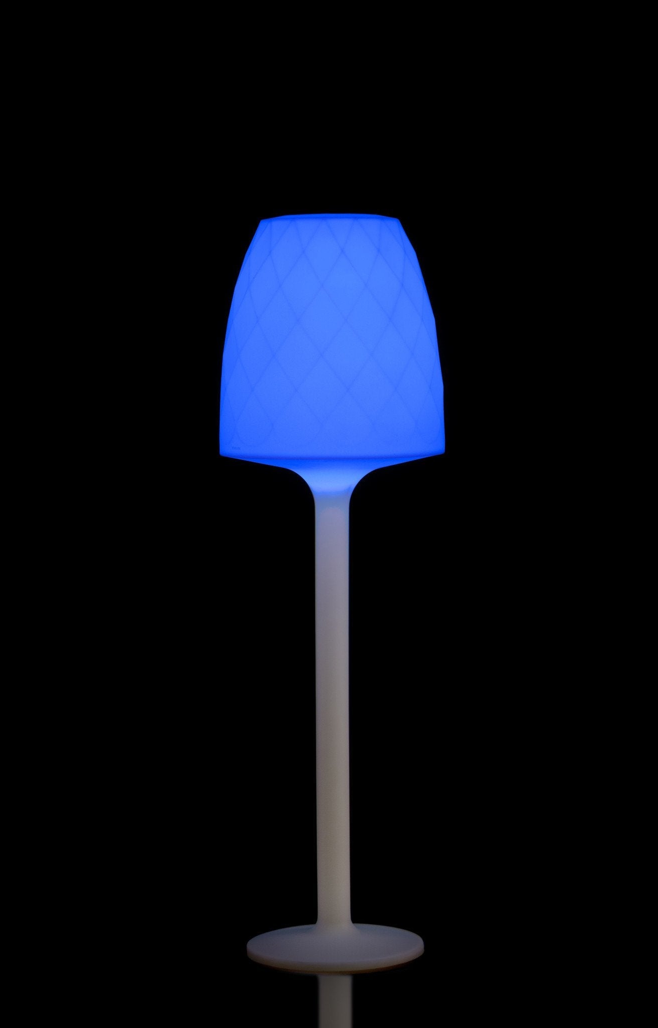 Vases Floor Lamp