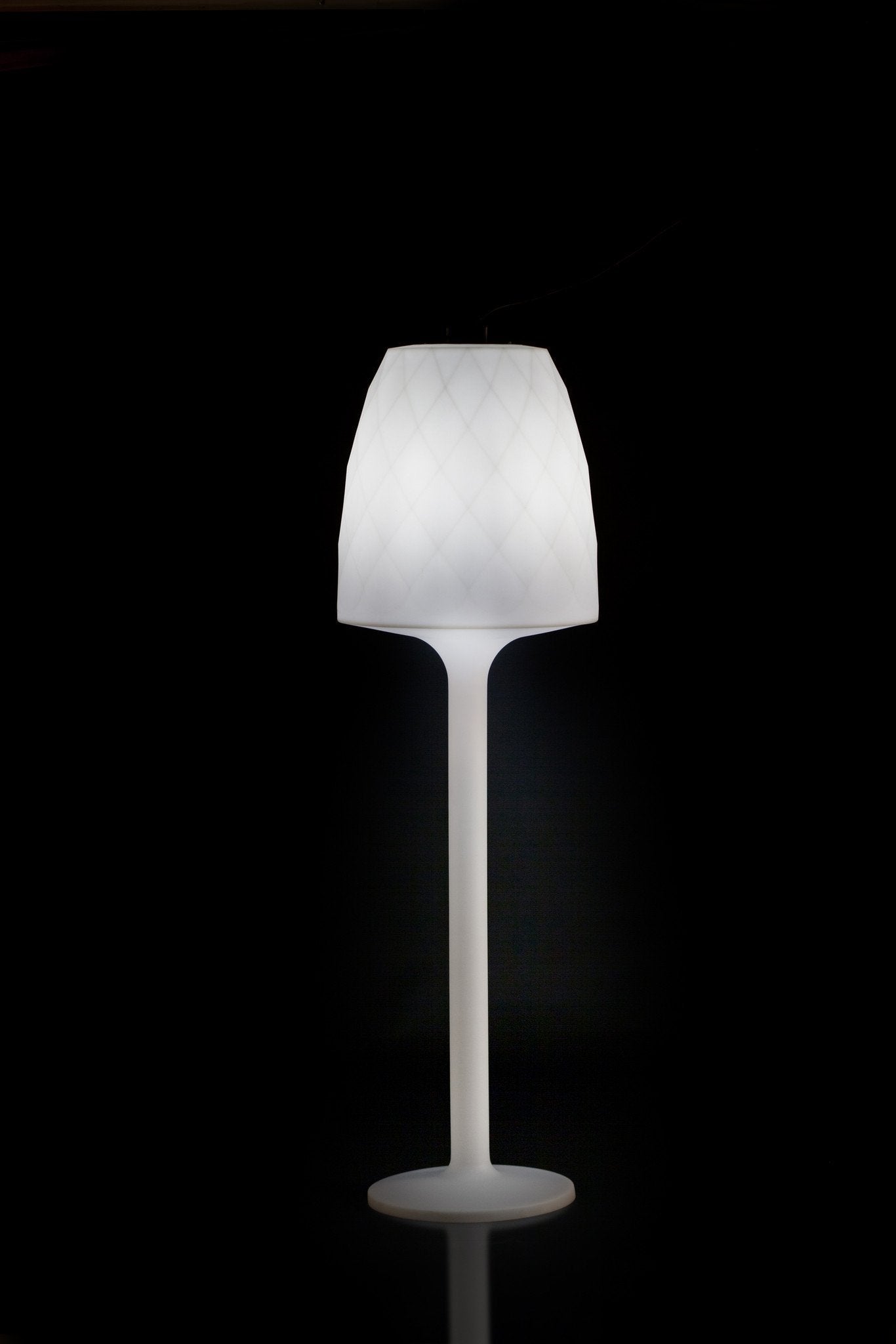 Vases Floor Lamp