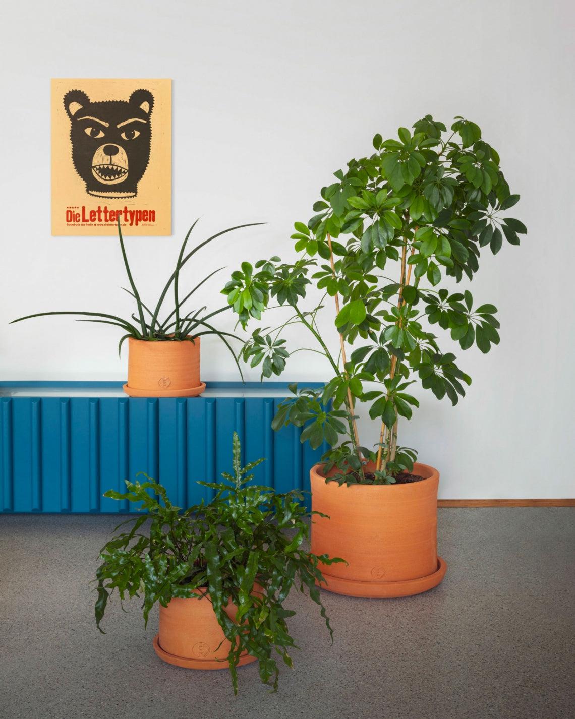 Vavava' Vase & Saucer-Contract Furniture Store for hospitality, leisure & commercial projects