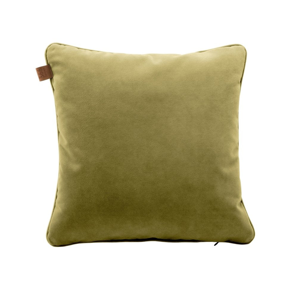 Velvet Cushion 1