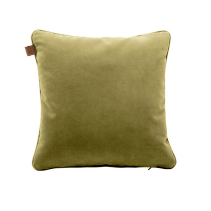 Velvet Cushion 1