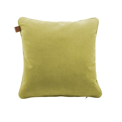 Velvet Cushion 1