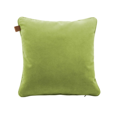 Velvet Cushion 1