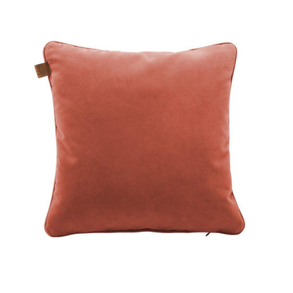 Velvet Cushion 1