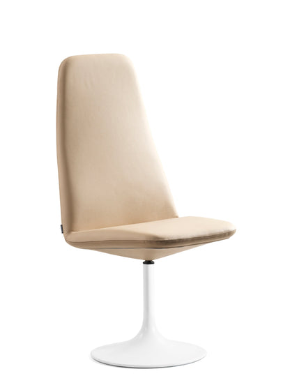 Viggen Side Chair