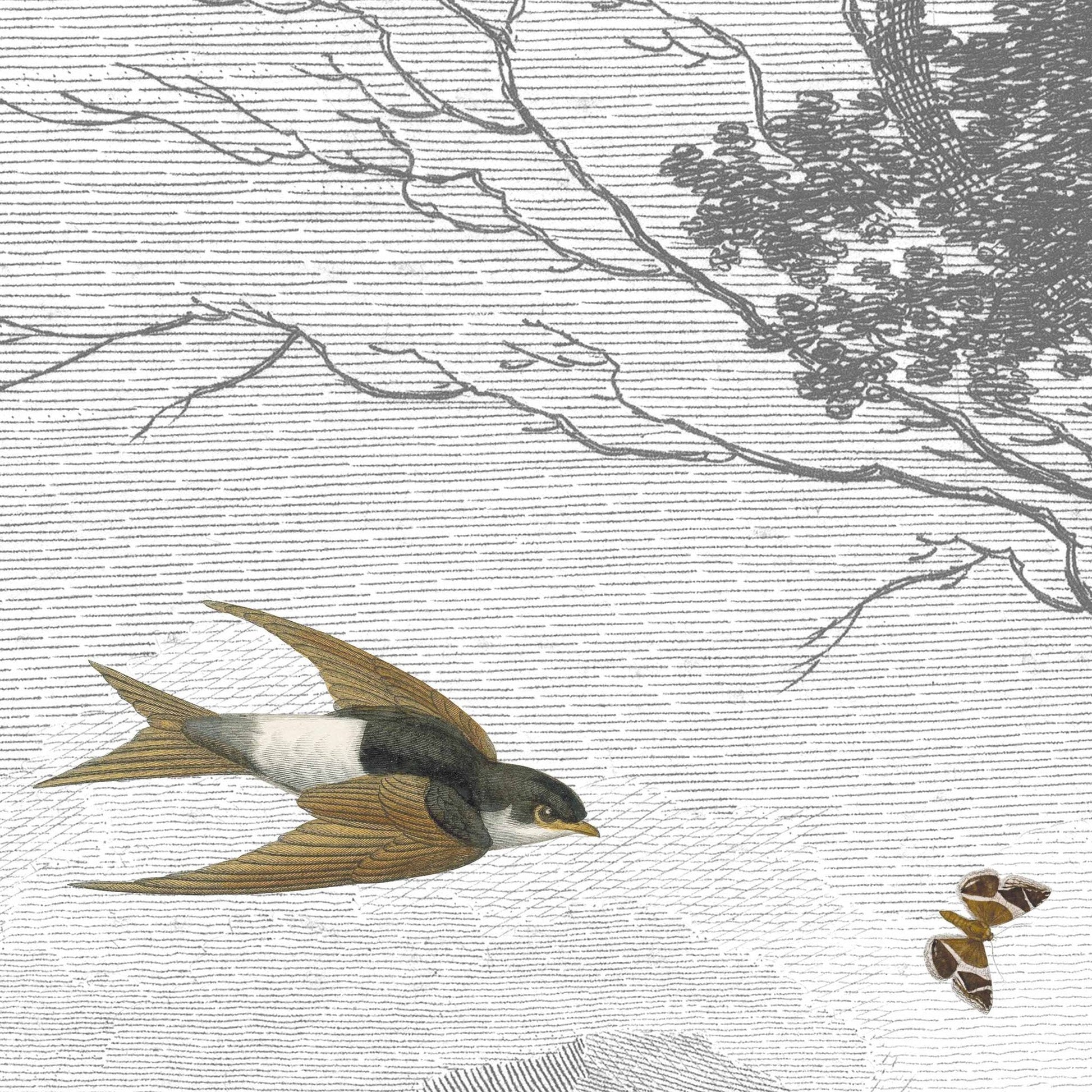 Vintage Zephyr Wall Mural