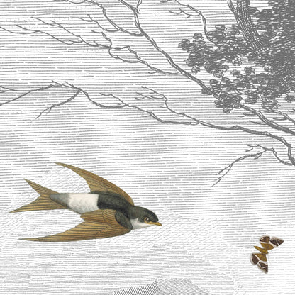 Vintage Zephyr Wall Mural