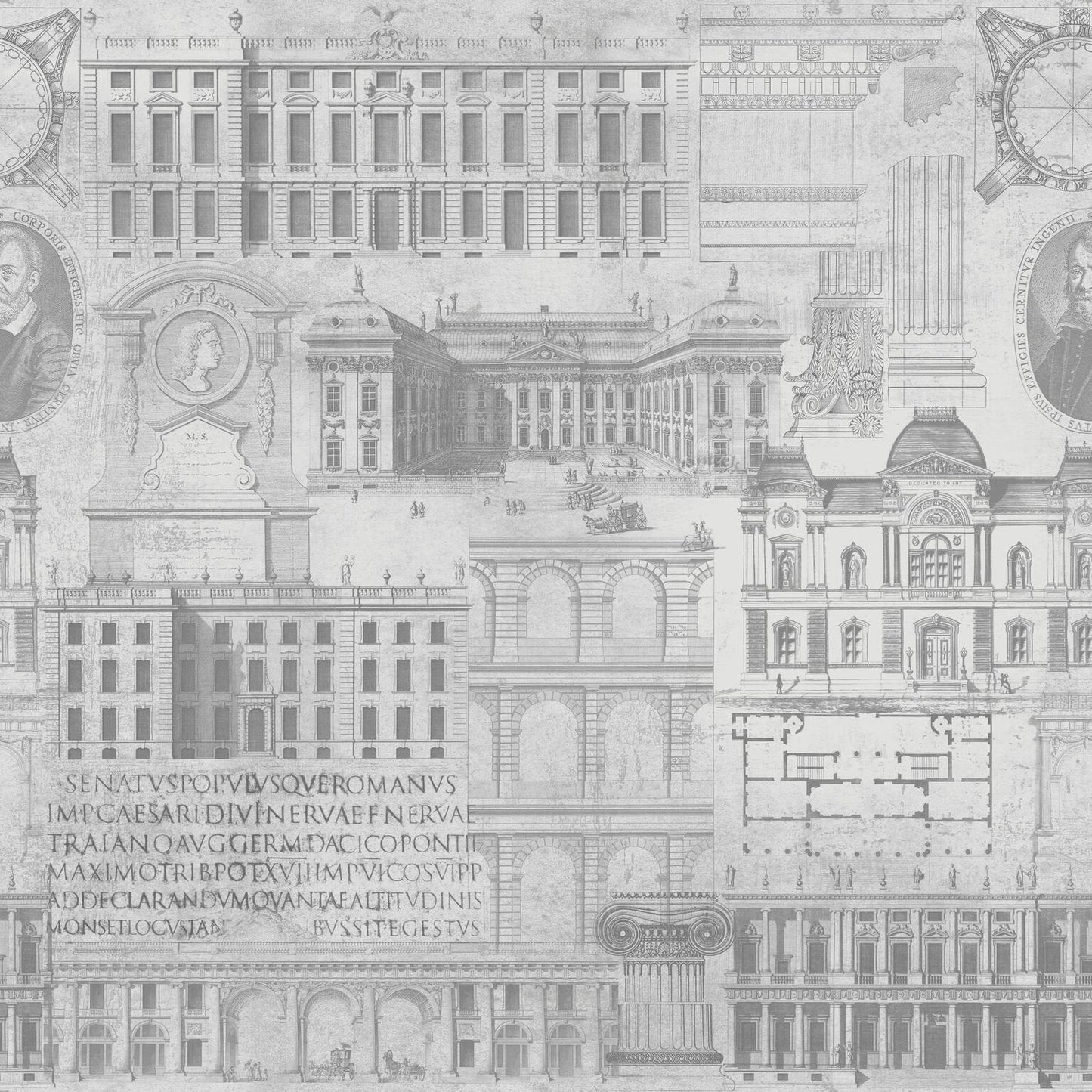 Vitruvius Neutral Wallpaper