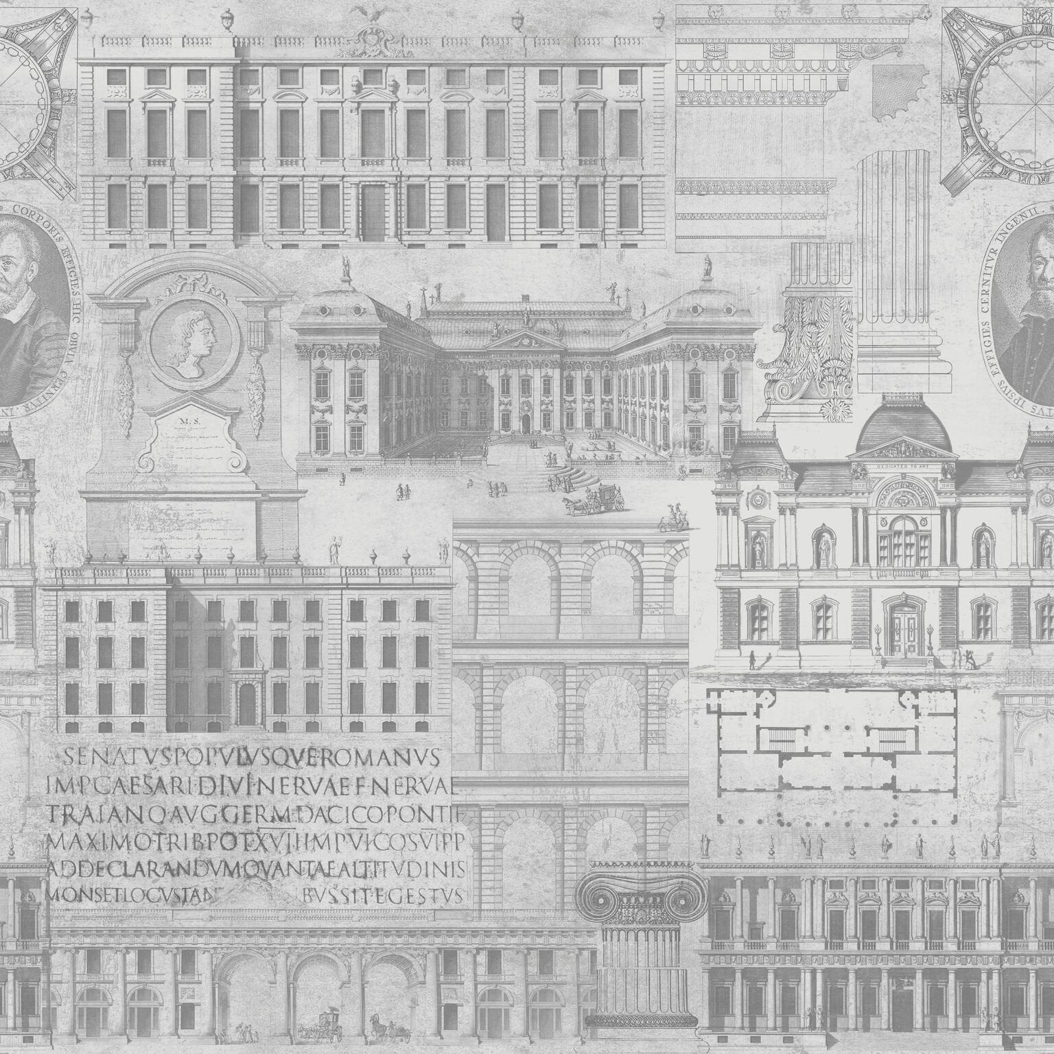 Vitruvius Neutral Wallpaper