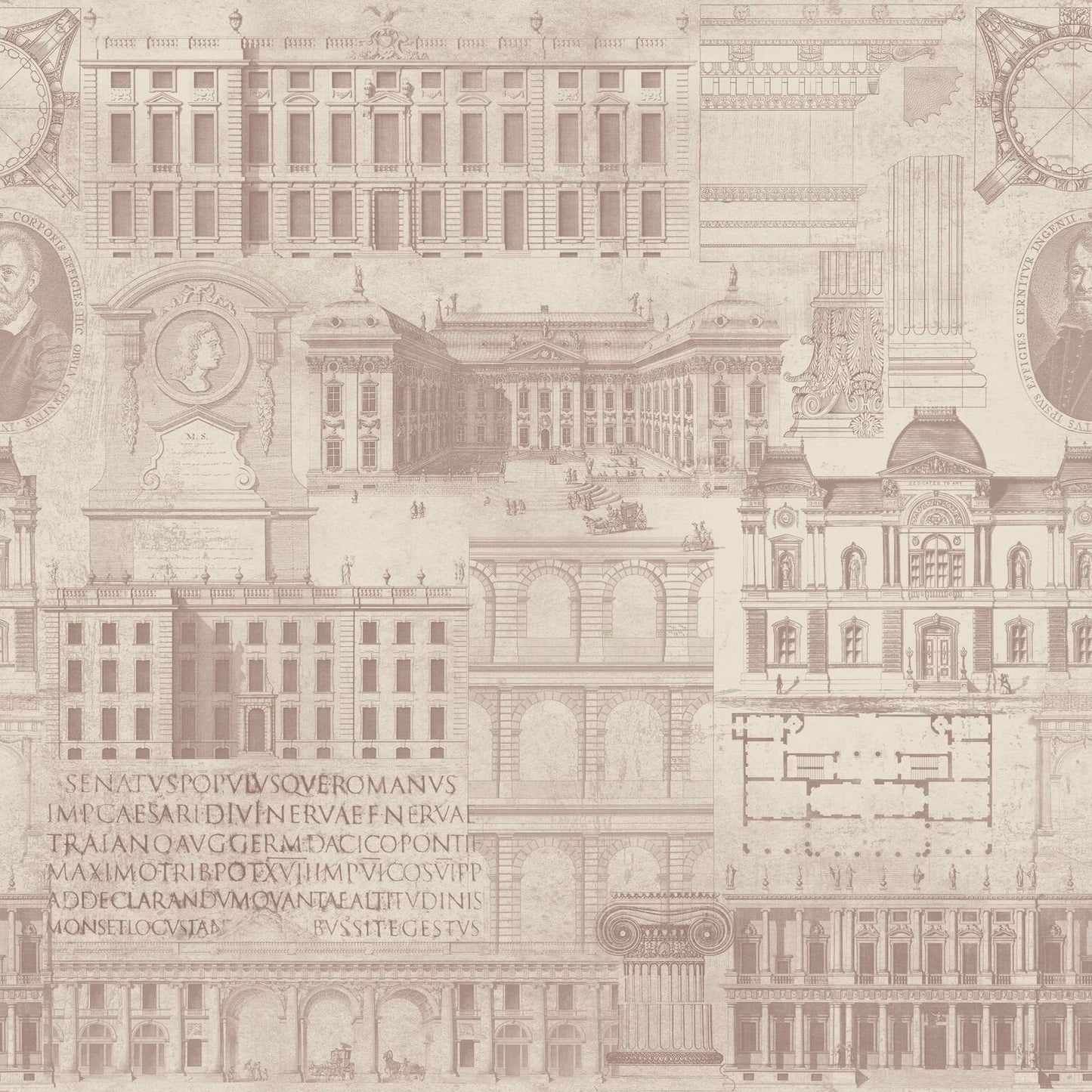 Vitruvius Taupe Wallpaper