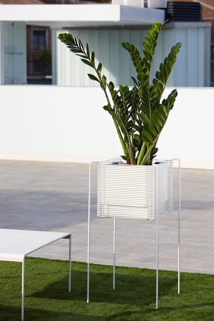 Zen Hydroplanter-Hobby Flower-Contract Furniture Store