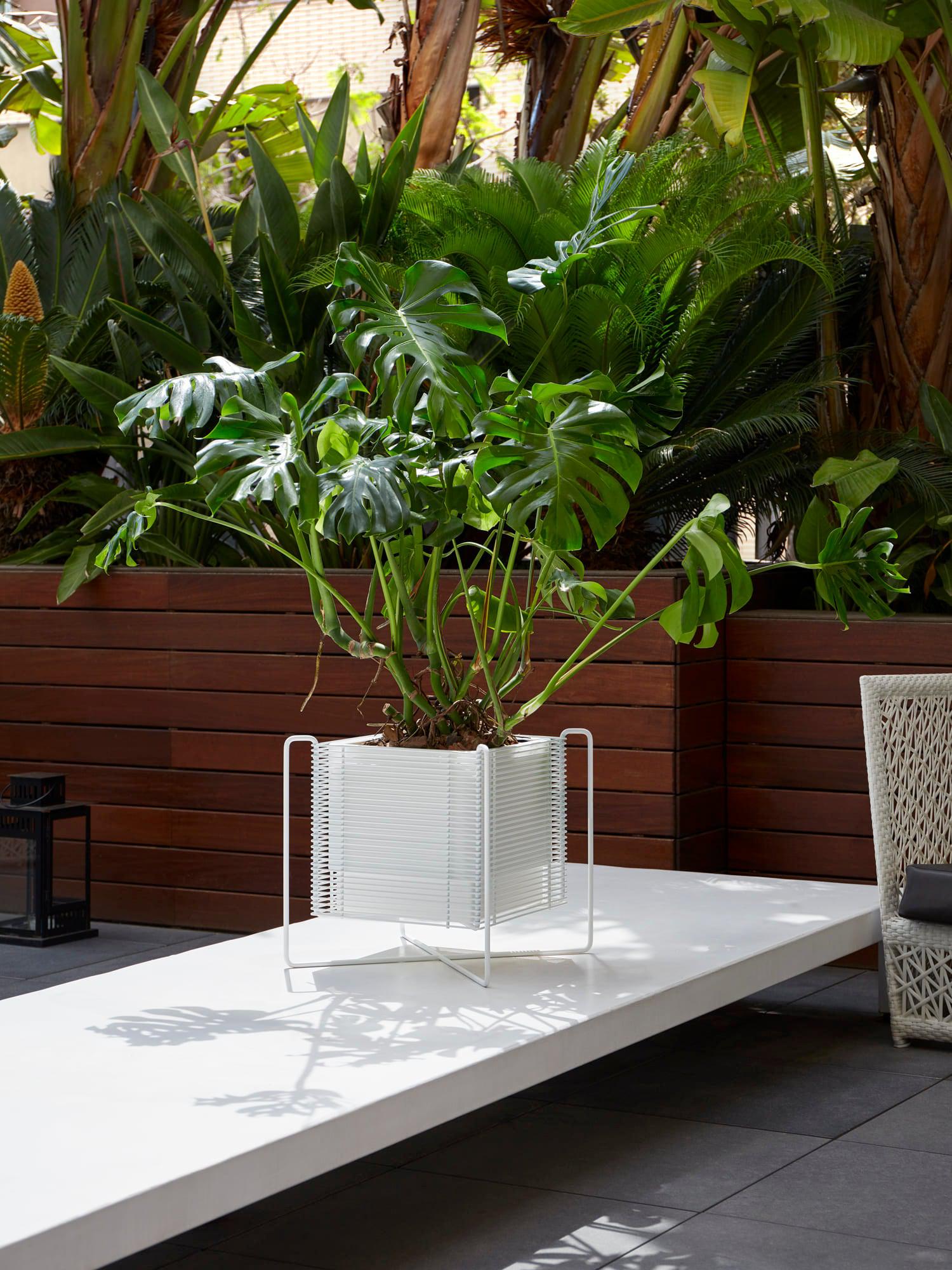Zen Hydroplanter-Contract Furniture Store for hospitality, leisure & commercial projects