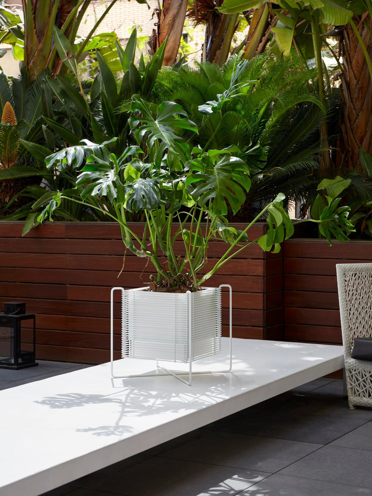 Zen Hydroplanter-Hobby Flower-Contract Furniture Store