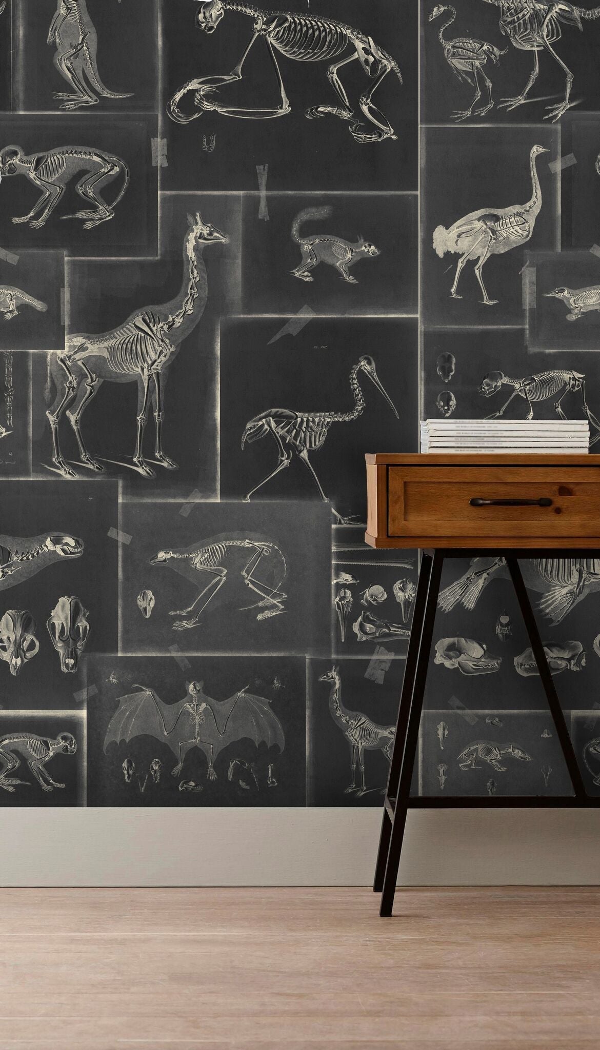 Zooarchaeology Anthracite Wallpaper