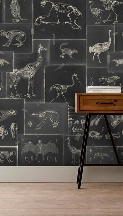 Zooarchaeology Anthracite Wallpaper