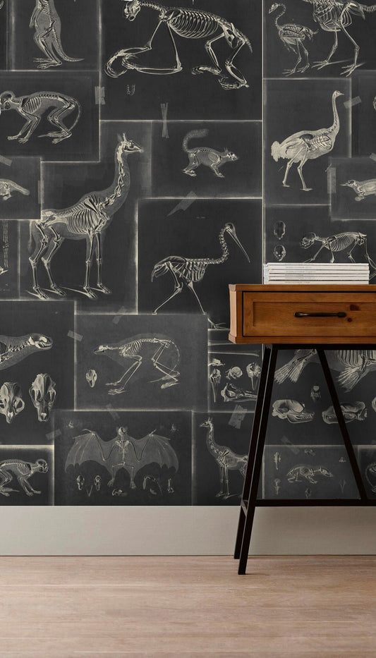Zooarchaeology Anthracite Wallpaper
